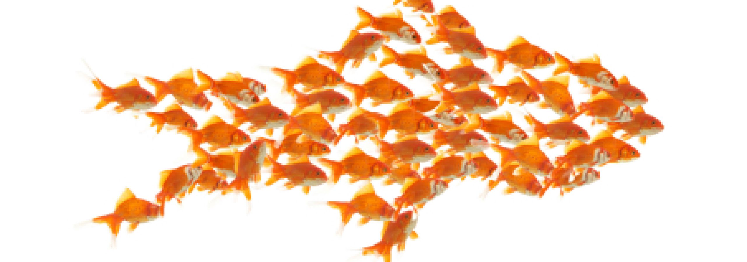 People from BC are challenging the Interlock and RDP for their IRP